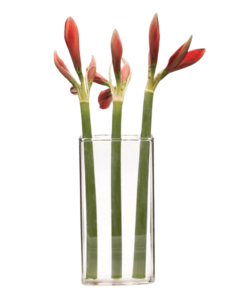 Wall Brick Glass Modern Clear Flower Vase - Chive UK Wholesale