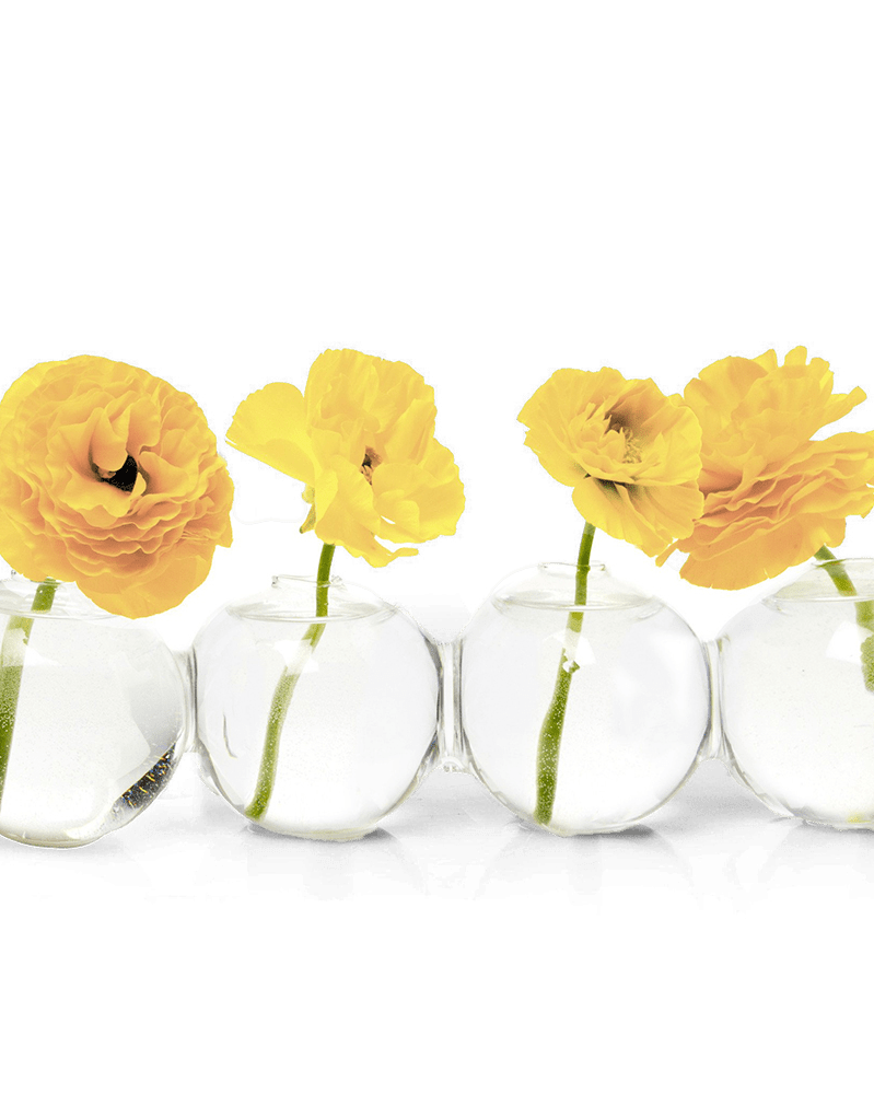 Caterpillar Glass Modern Clear Flower Vase - Chive UK Wholesale