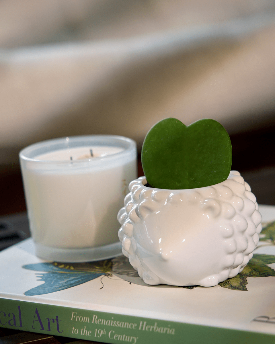 Hedgehog Ceramic Indoor Plant Pot For Succulents - Chive UK Wholesale