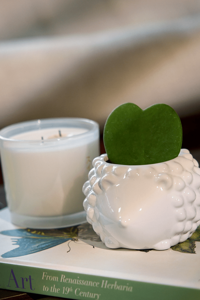 Hedgehog Ceramic Indoor Plant Pot For Succulents - Chive UK Wholesale