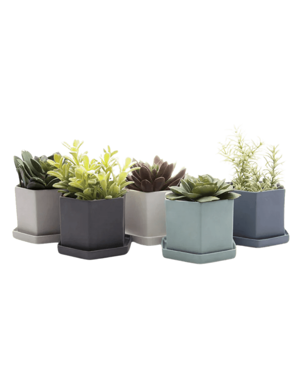 Hexi Porcelain Pot With Drainage Hole Kits - Chive UK Wholesale