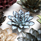 Japan Ceramic Flower Blue Brown Aster - Chive UK Wholesale