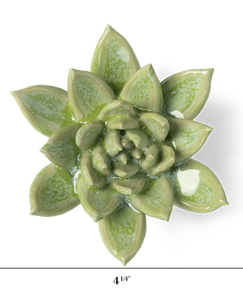 JA20 Pea Green Ghost Succulent - Chive UK Wholesale