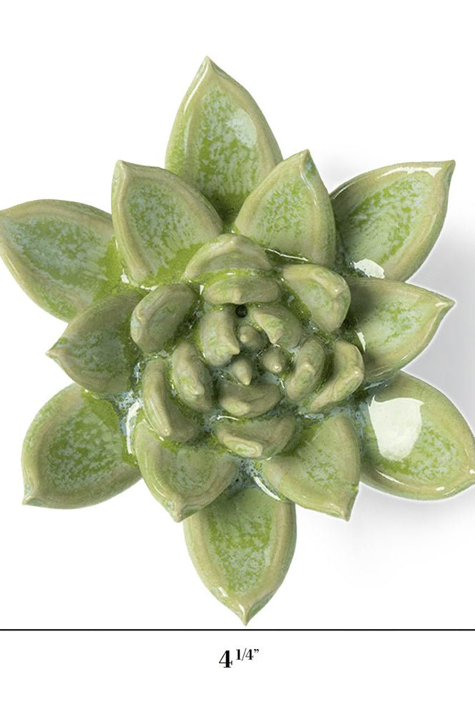 JA20 Pea Green Ghost Succulent - Chive UK Wholesale