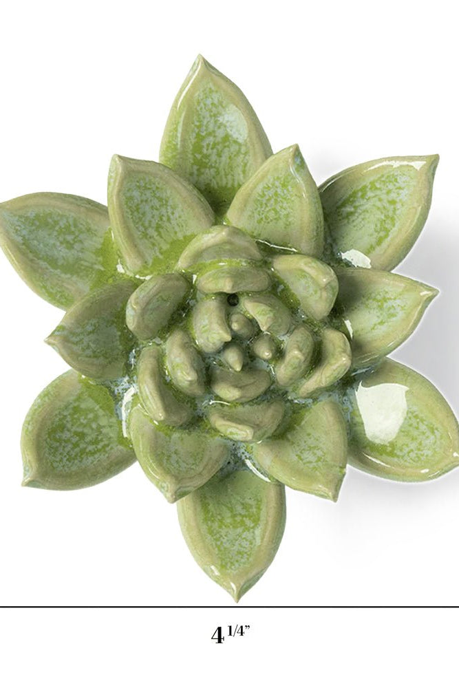 JA20 Pea Green Ghost Succulent - Chive UK Wholesale