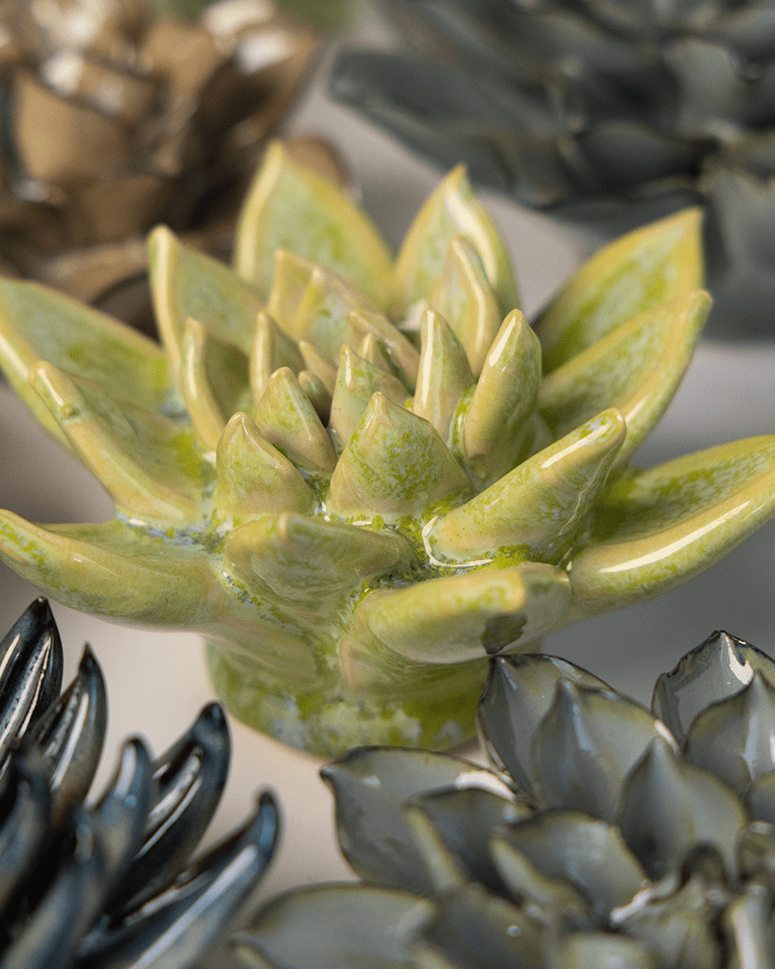 Japan Ceramic Flower Green Succulent - Chive UK Wholesale