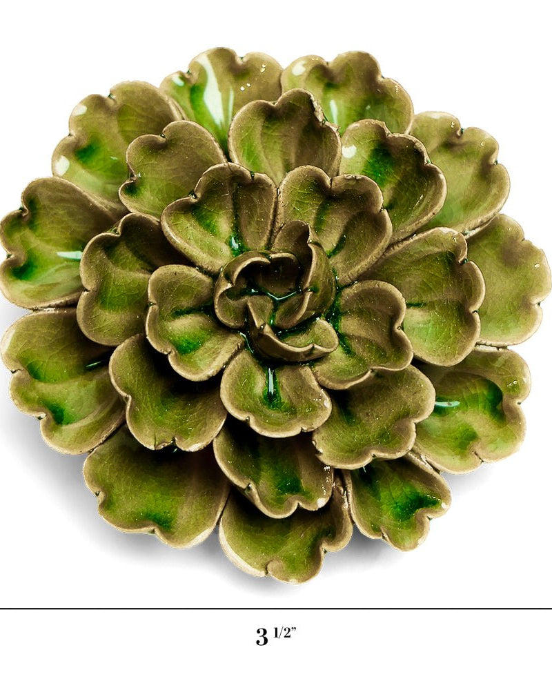 JA24 Avocado Green Petunia - Chive UK Wholesale