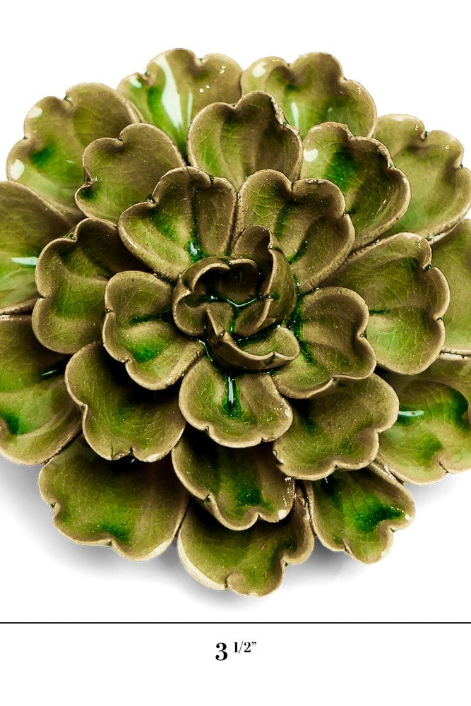 JA24 Avocado Green Petunia - Chive UK Wholesale