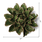 Japan Ceramic Flower Green Tree Peony - Chive UK Wholesale