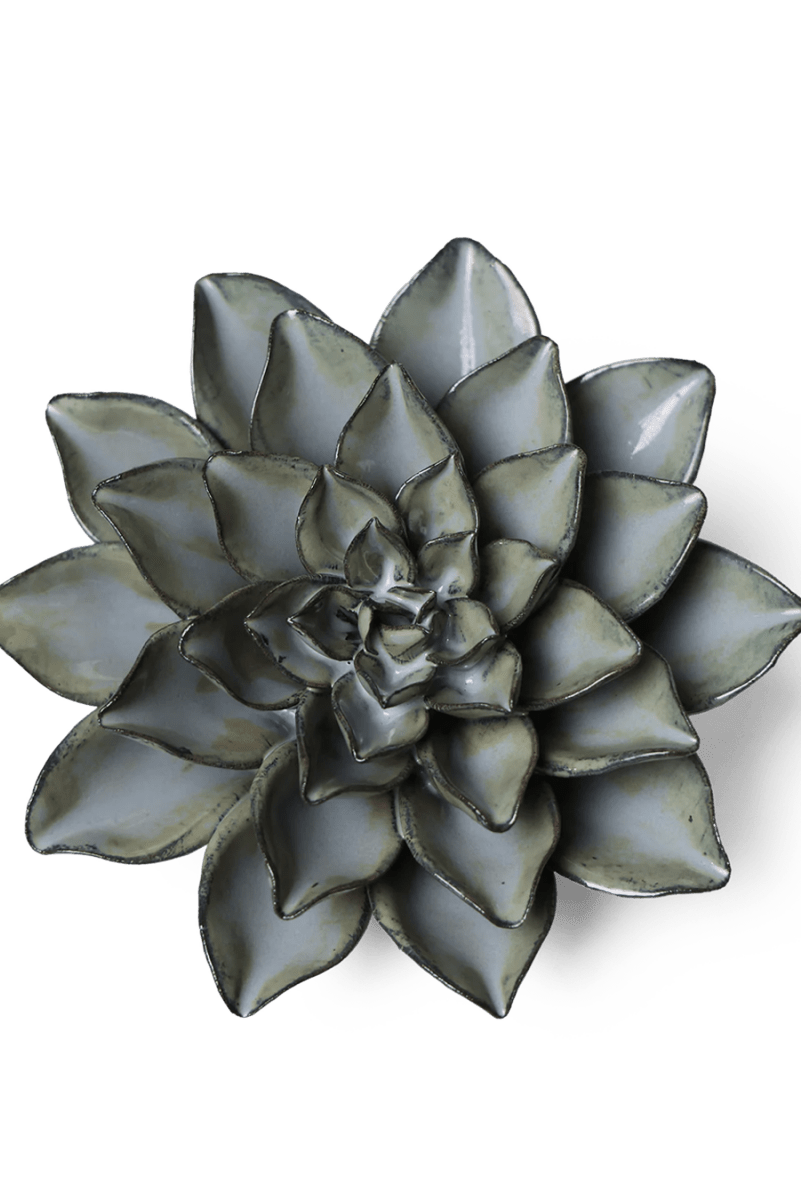 JA01 Grey Goyet Azalea - Chive UK Wholesale