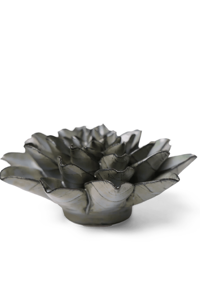 JA01 Grey Goyet Azalea - Chive UK Wholesale