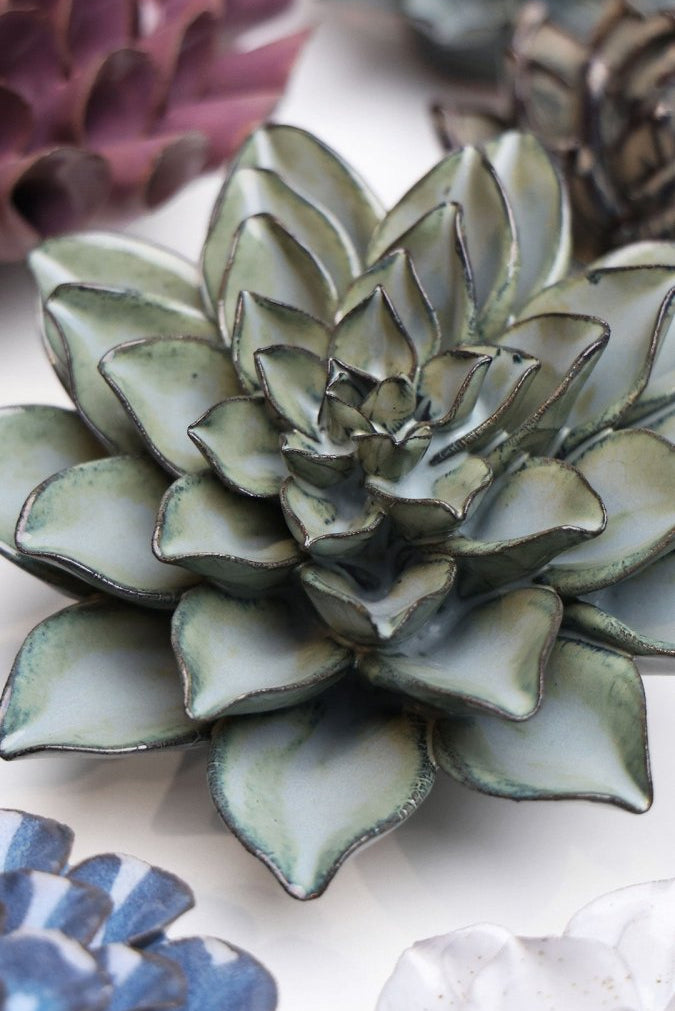 JA01 Grey Goyet Azalea - Chive UK Wholesale