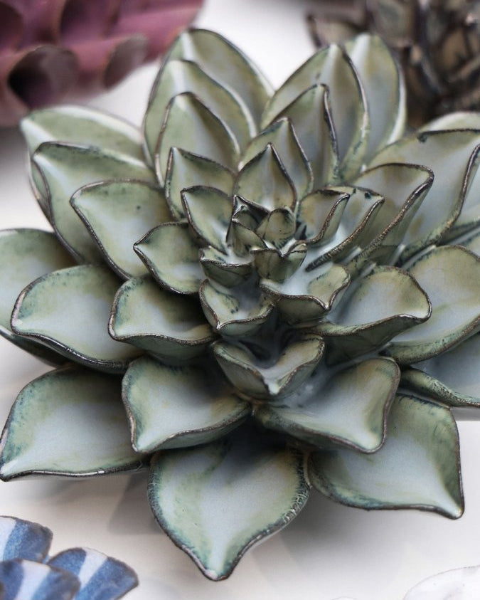 JA01 Grey Goyet Azalea - Chive UK Wholesale