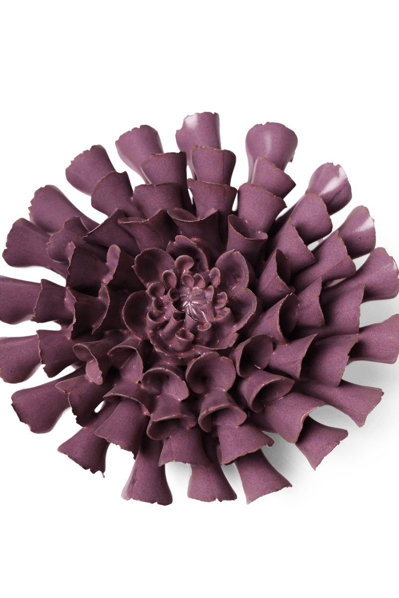 JA02 Violet Blue Cornel Dahlia - Chive UK Wholesale