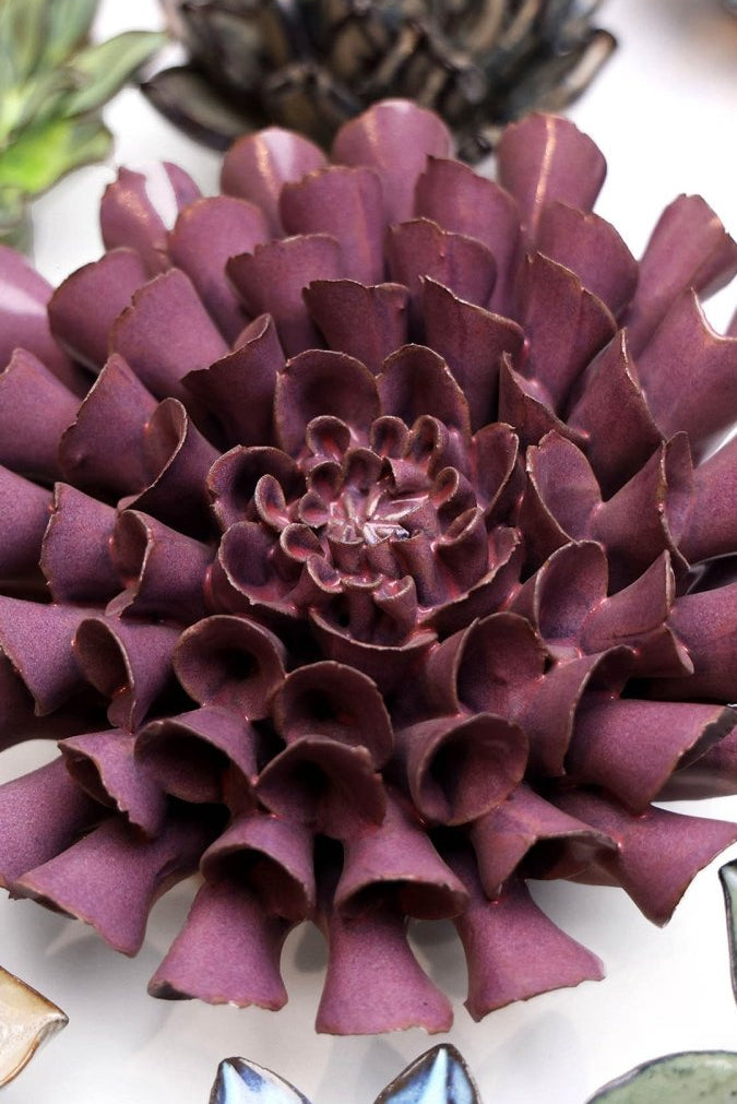 JA02 Violet Blue Cornel Dahlia - Chive UK Wholesale