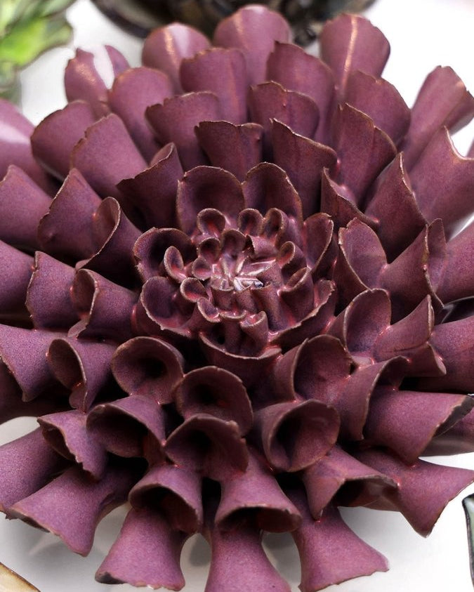 JA02 Violet Blue Cornel Dahlia - Chive UK Wholesale