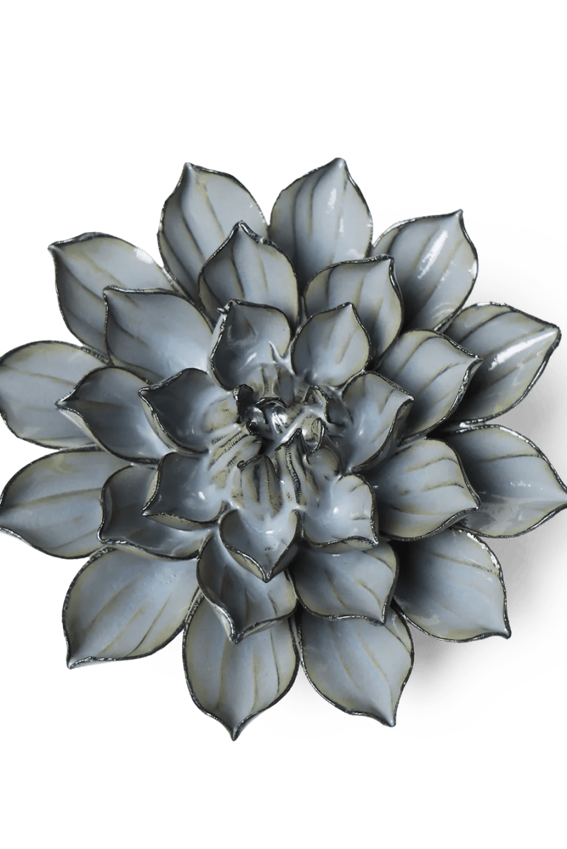 JA03 Grey Green Monch Aster - Chive UK Wholesale