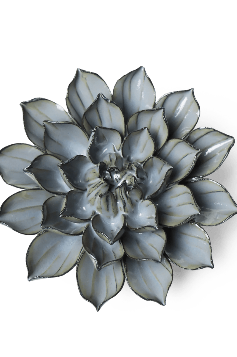 JA03 Grey Green Monch Aster - Chive UK Wholesale