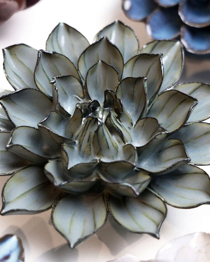 JA03 Grey Green Monch Aster - Chive UK Wholesale