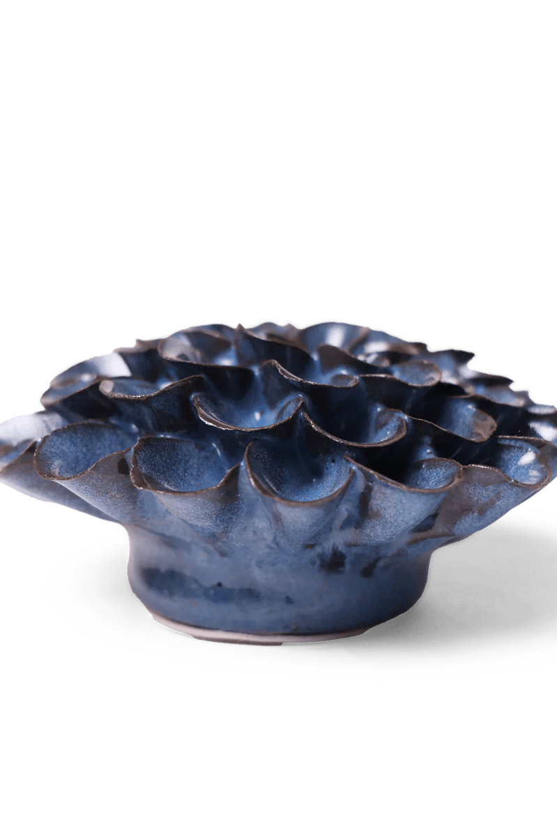JA04 Blue Noir Pompon Dahlia - Chive UK Wholesale