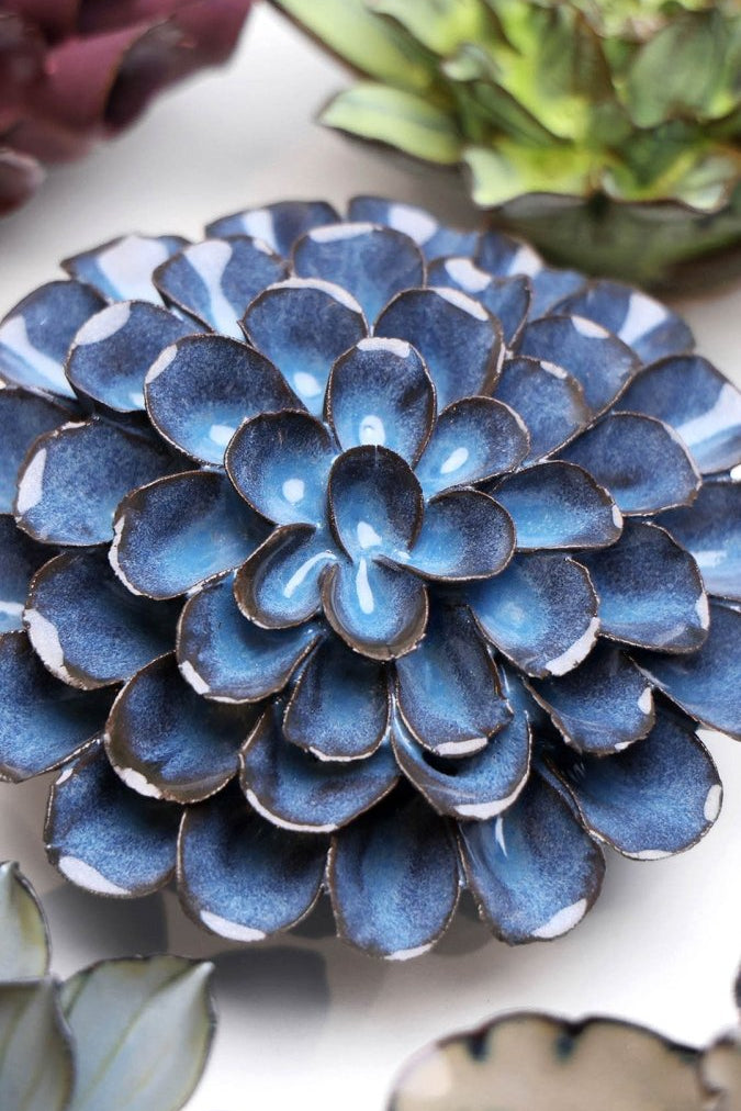 JA04 Blue Noir Pompon Dahlia - Chive UK Wholesale