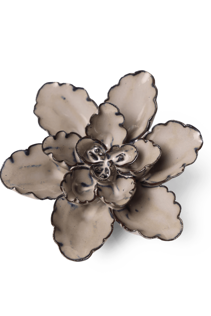 JA05 Latte Empress Lotus - Chive UK Wholesale