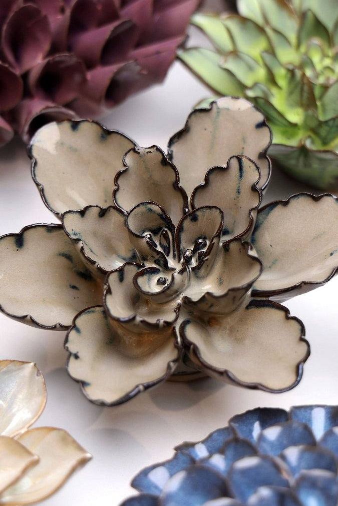 JA05 Latte Empress Lotus - Chive UK Wholesale