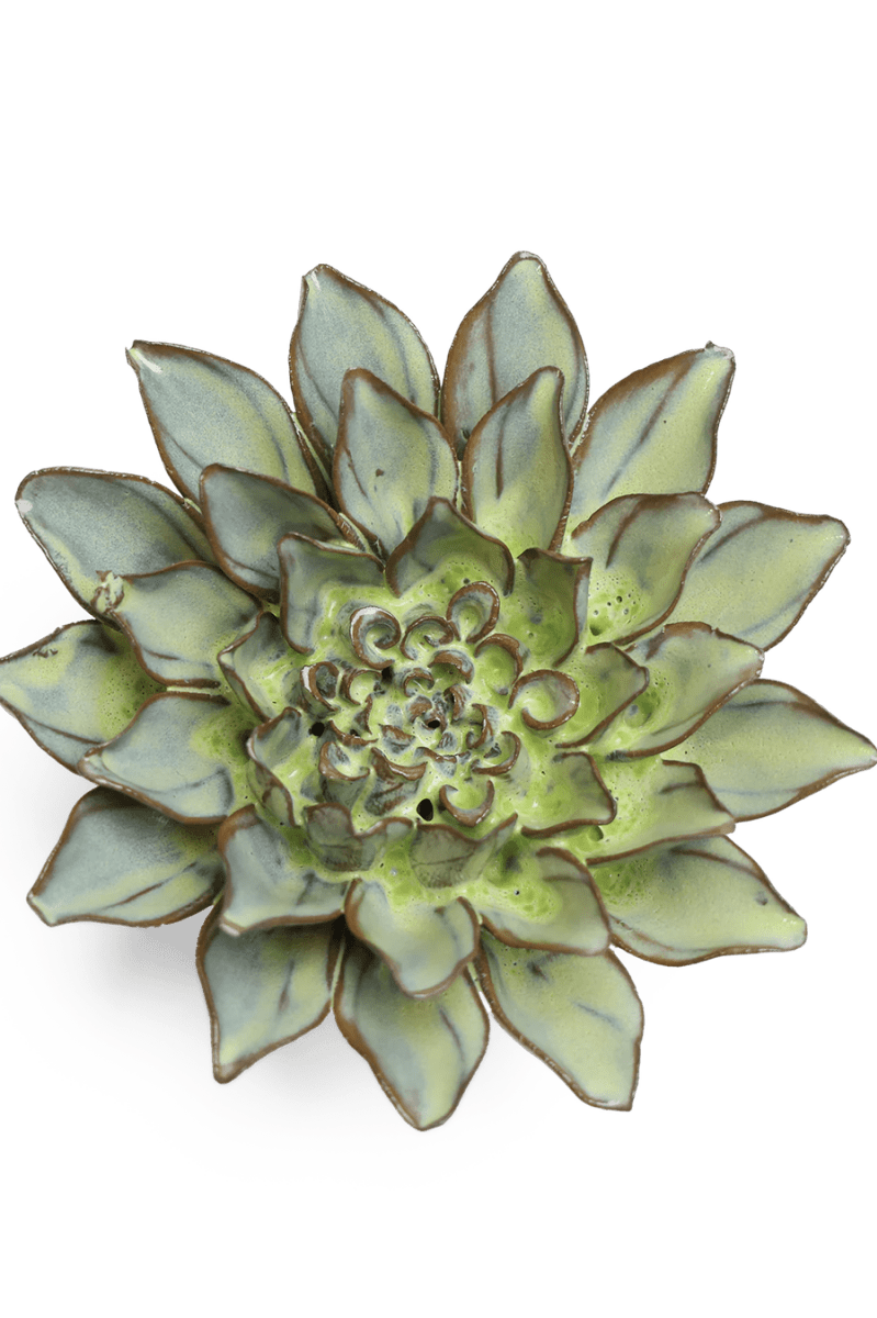 JA06 Pear Green Calico Aster - Chive UK Wholesale