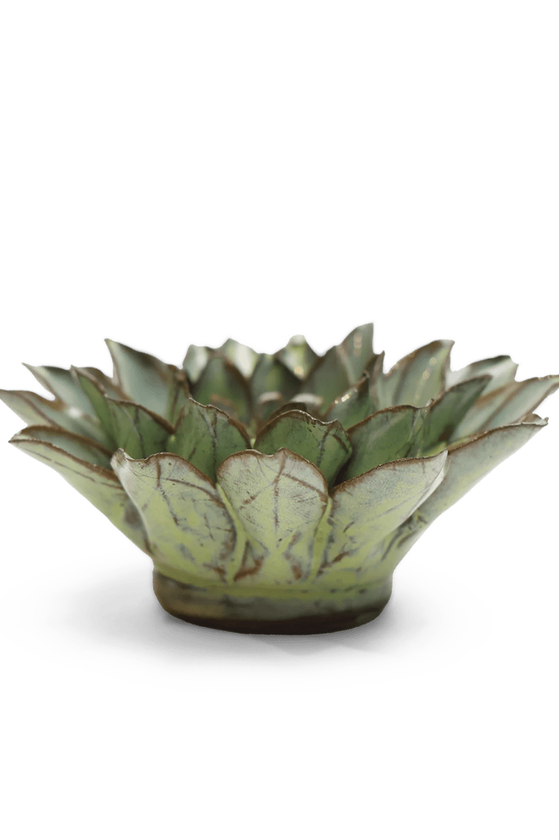 JA06 Pear Green Calico Aster - Chive UK Wholesale