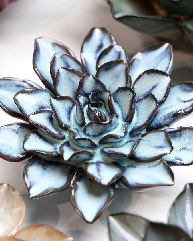 JA07 Seasonal Blue Alpine Aster - Chive UK Wholesale