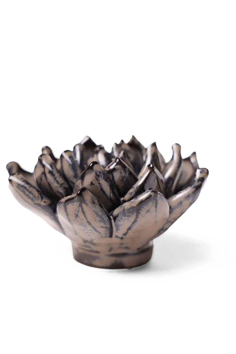 JA08 Latte Lola Echeveria - Chive UK Wholesale