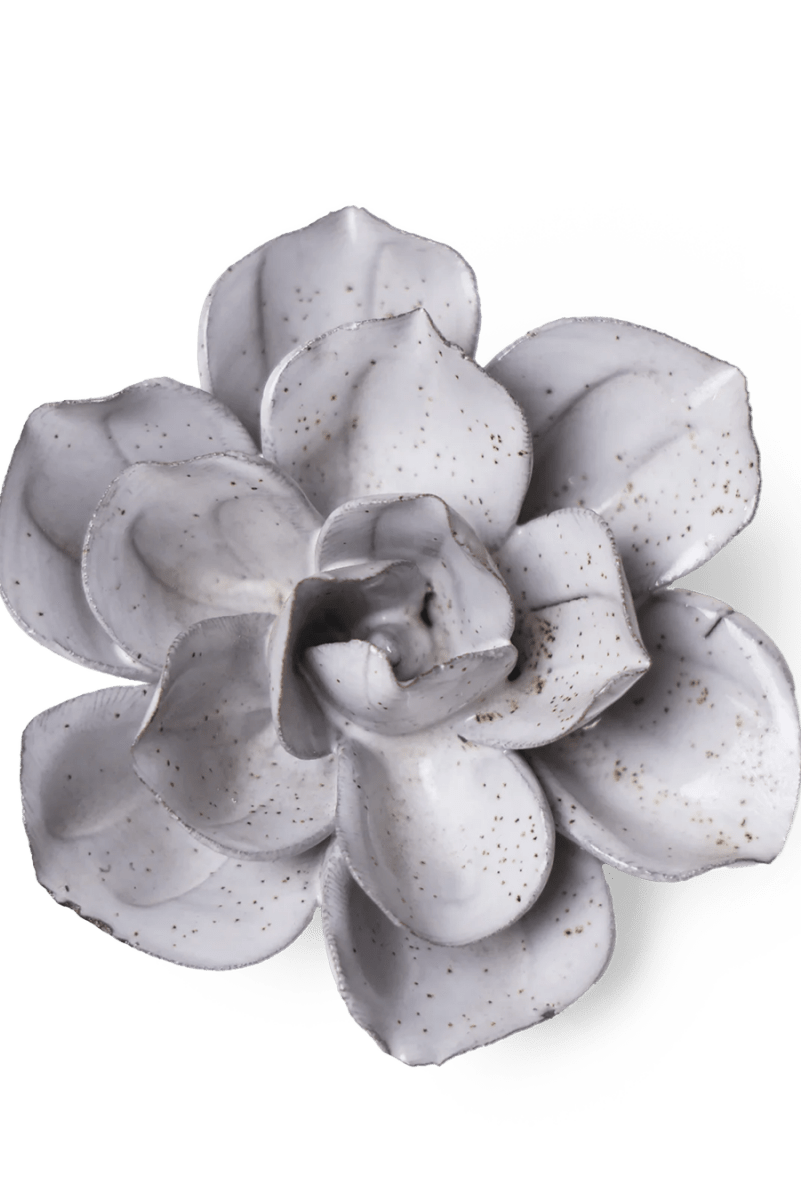 JA10 Cement Aqualla Gardenia - Chive UK Wholesale
