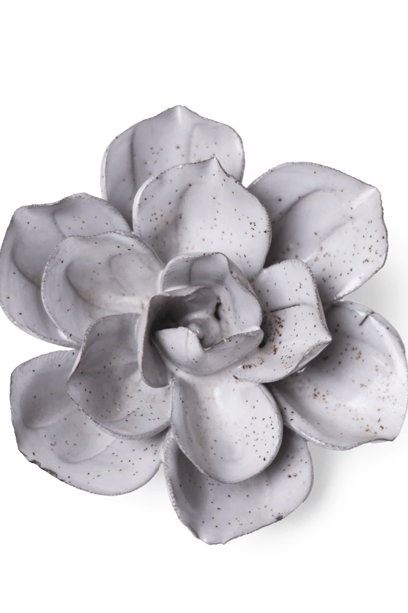 JA10 Cement Aqualla Gardenia - Chive UK Wholesale