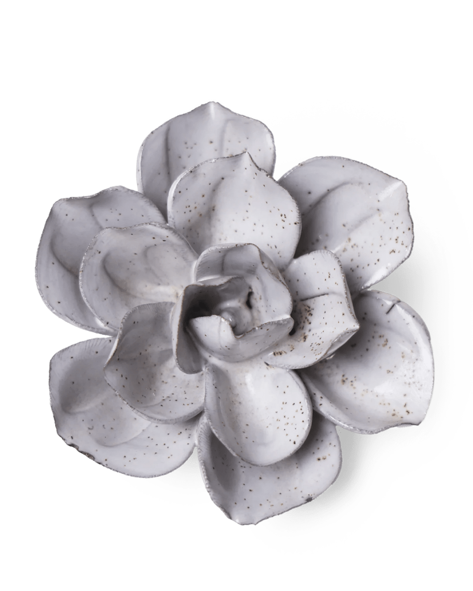 JA10 Cement Aqualla Gardenia - Chive UK Wholesale