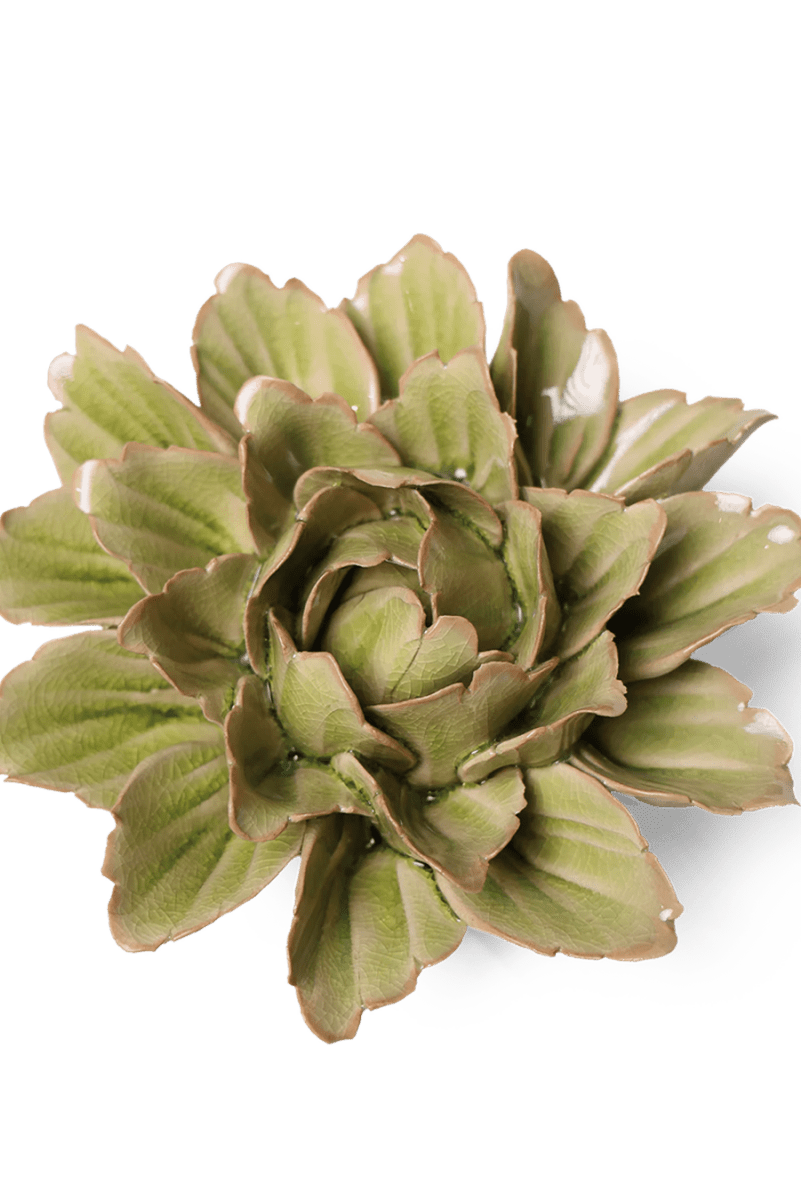 JA11 Peridot Sorbet Peony - Chive UK Wholesale