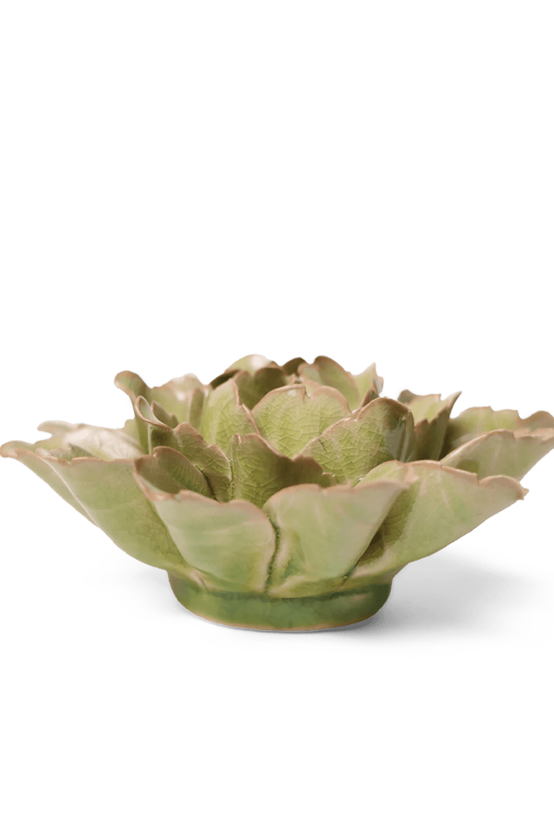 JA11 Peridot Sorbet Peony - Chive UK Wholesale