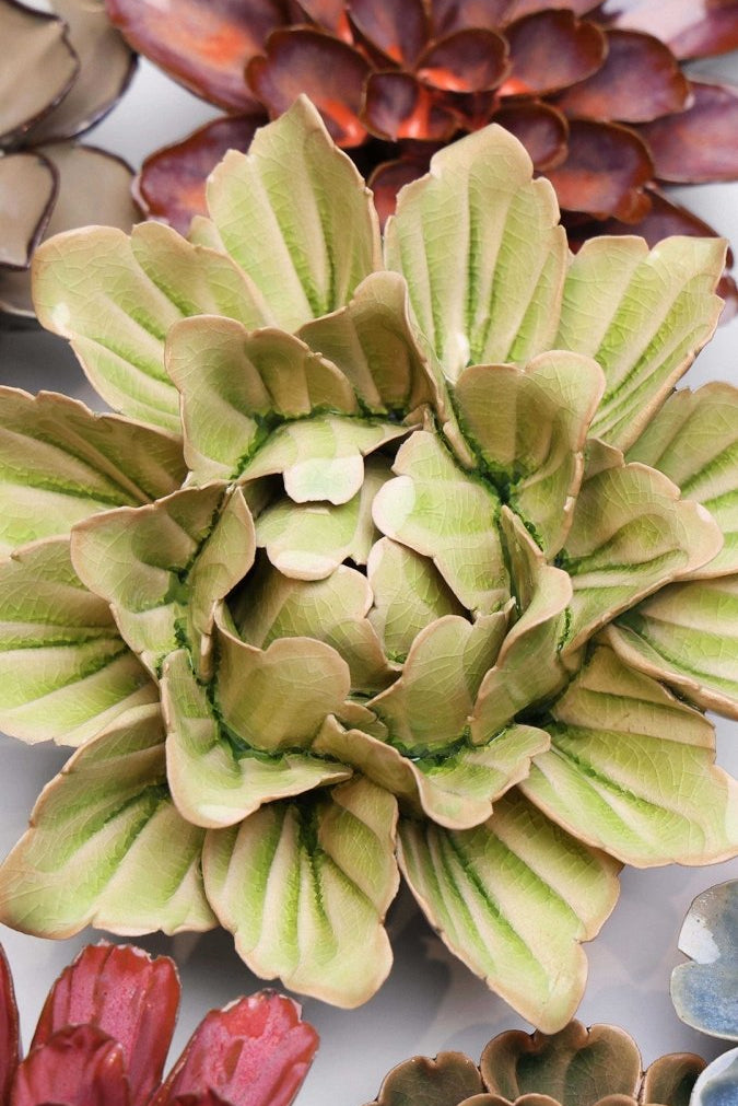 JA11 Peridot Sorbet Peony - Chive UK Wholesale