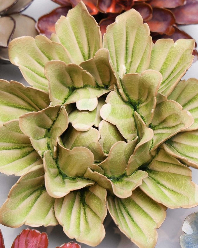 JA11 Peridot Sorbet Peony - Chive UK Wholesale