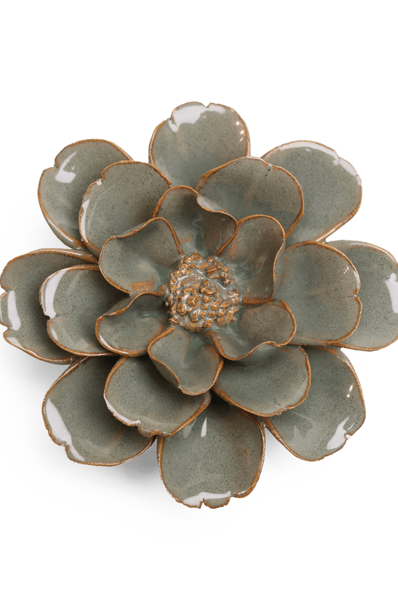 JA13 Moss Grey Oxeye Daisy - Chive UK Wholesale