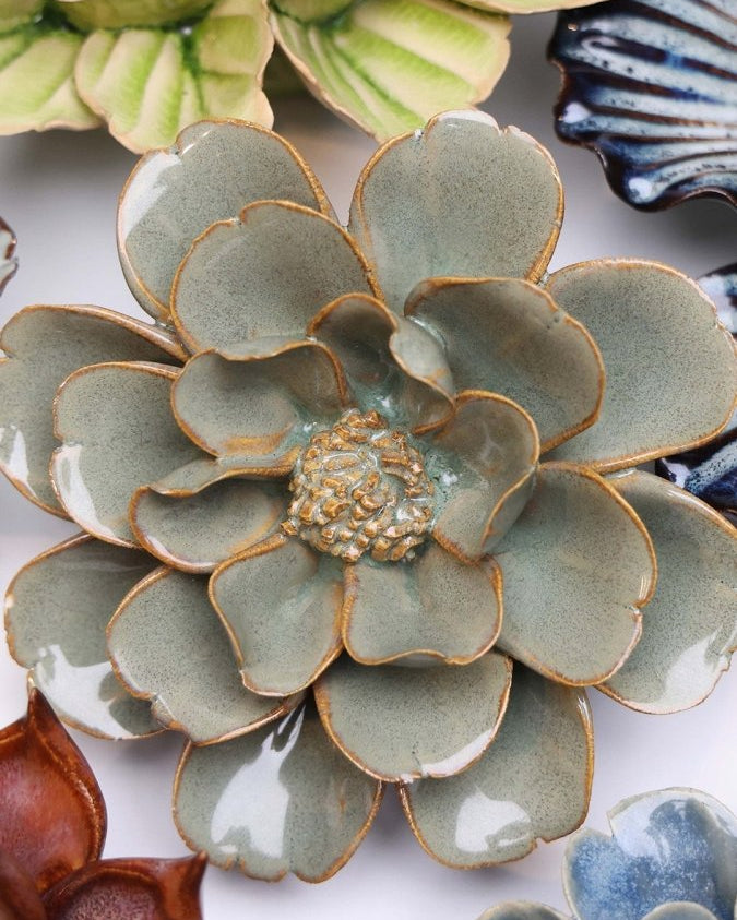 JA13 Moss Grey Oxeye Daisy - Chive UK Wholesale