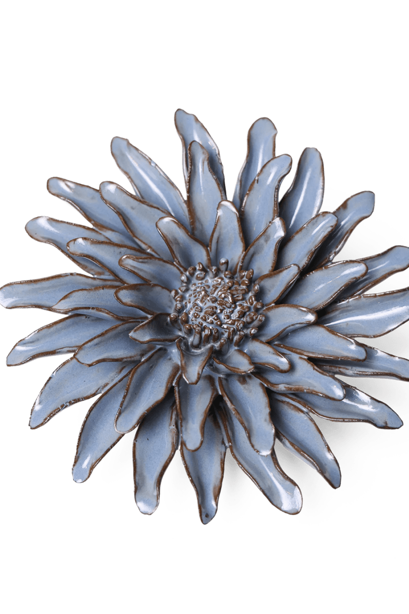 JA14 Blue Grey Gerbera Daisy - Chive UK Wholesale