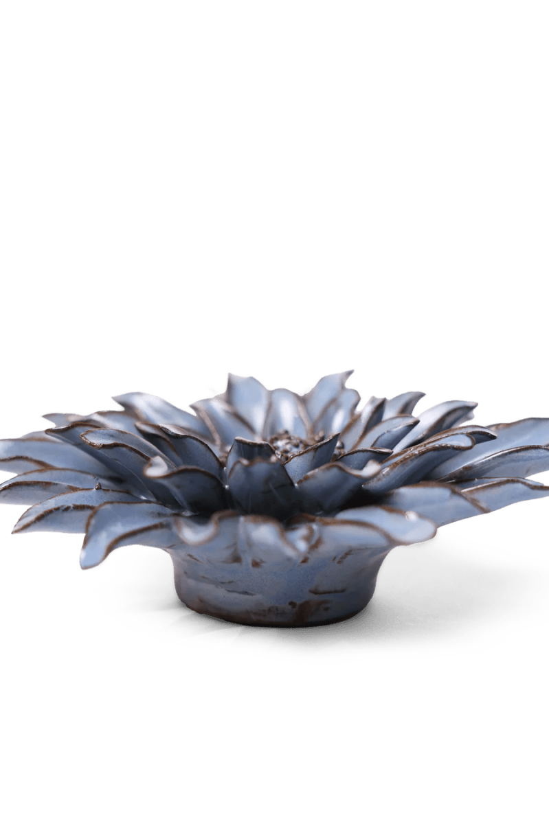 JA14 Blue Grey Gerbera Daisy - Chive UK Wholesale