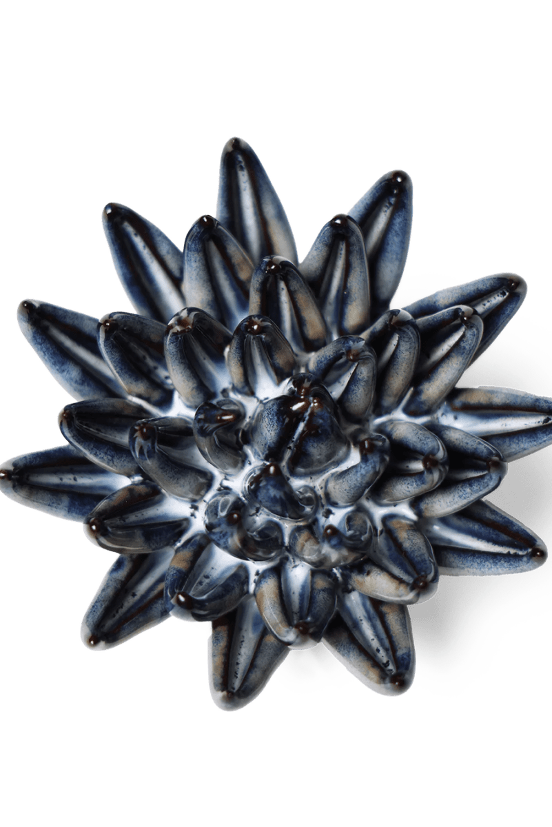 JA16 Navy Blue Chalksticks Succulent - Chive UK Wholesale