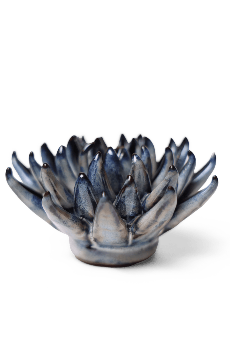 JA16 Navy Blue Chalksticks Succulent - Chive UK Wholesale