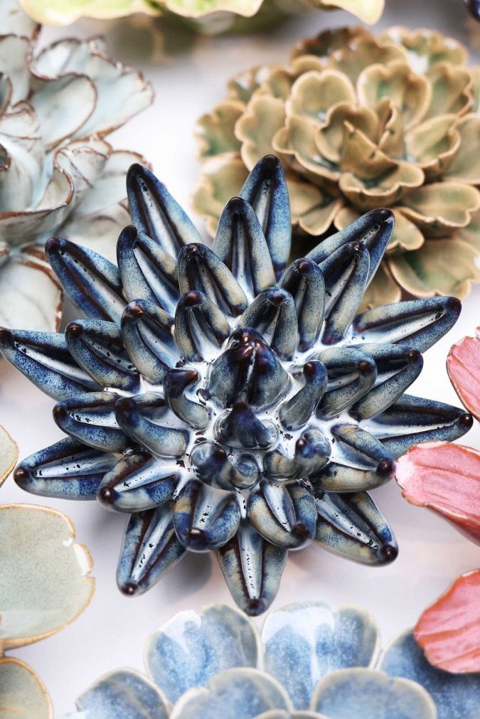 JA16 Navy Blue Chalksticks Succulent - Chive UK Wholesale