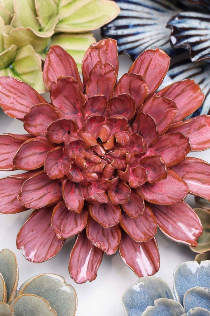 JA17 Blush Pink Star Dahlia - Chive UK Wholesale