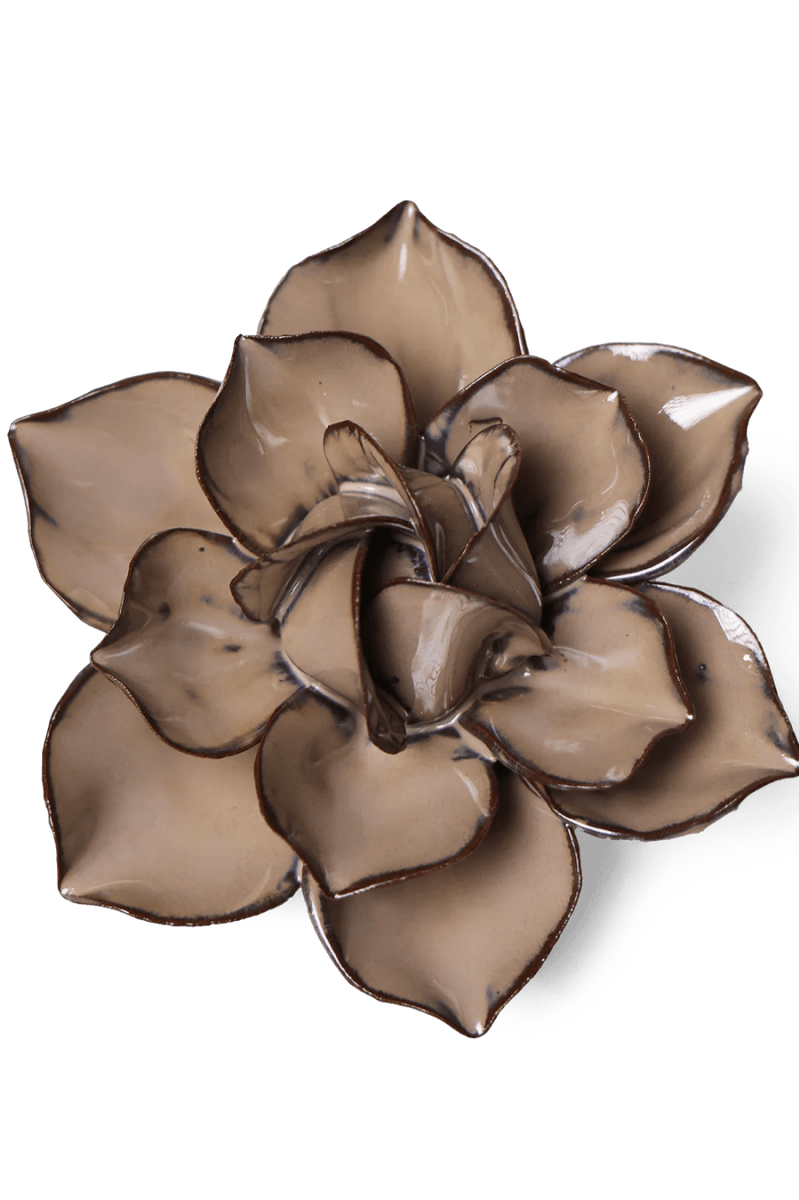 JA18 Latte Daffodil - Chive UK Wholesale