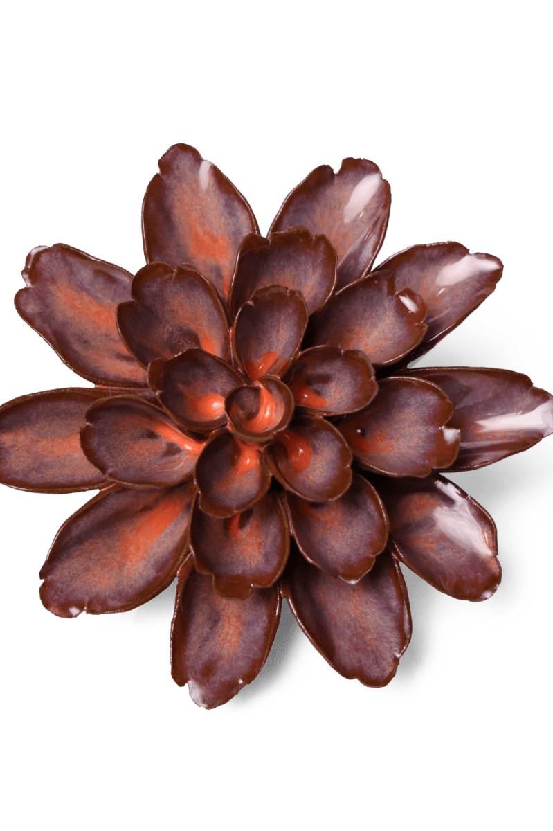 JA19 Peach Mocha Cornflower - Chive UK Wholesale