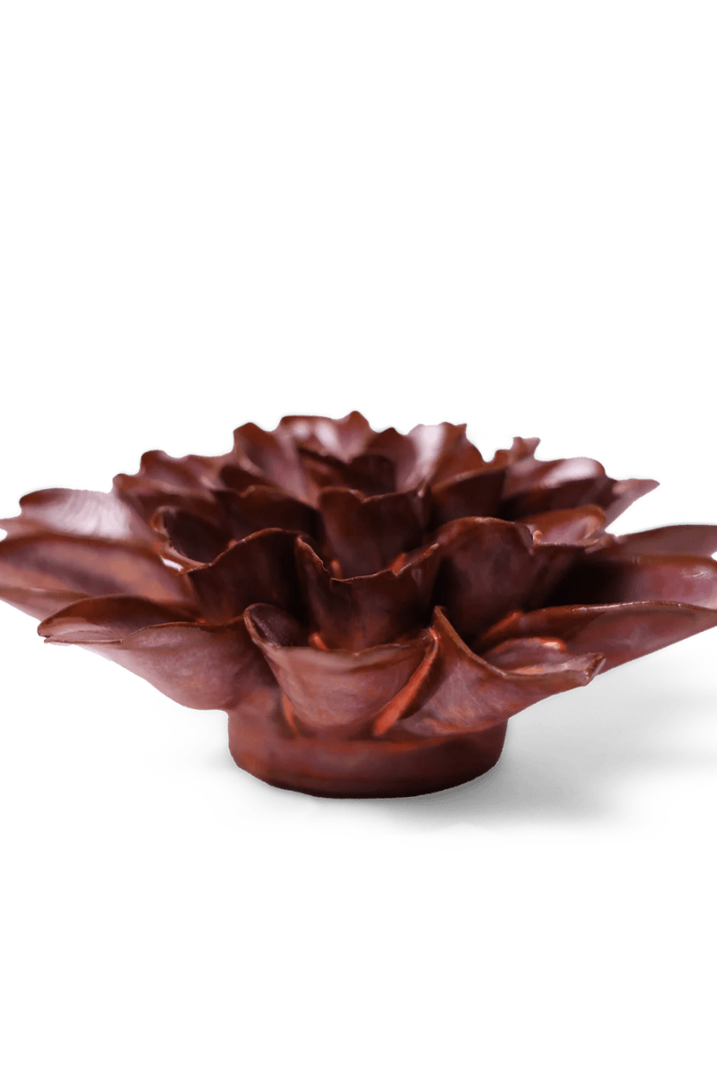 JA19 Peach Mocha Cornflower - Chive UK Wholesale