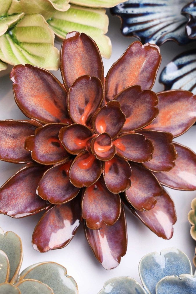 JA19 Peach Mocha Cornflower - Chive UK Wholesale